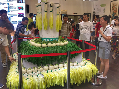 6 参观场馆  500.jpg
