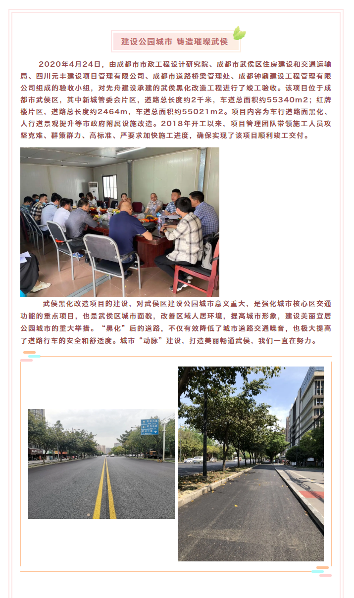 3武侯黑化改造工程竣工验收.png
