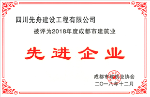 市建筑业协会先进企业